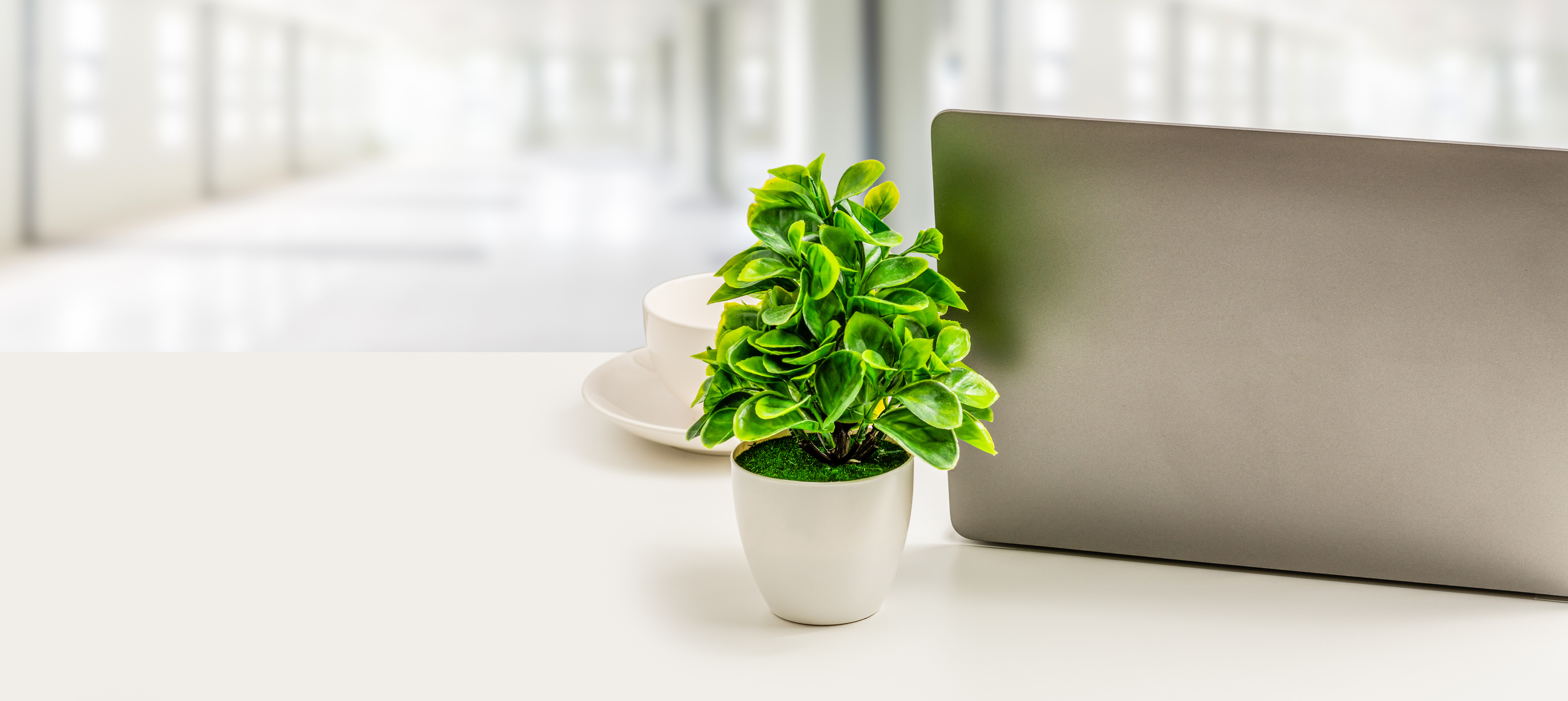 Laptop background. Back of laptop is blank, placed on white desk